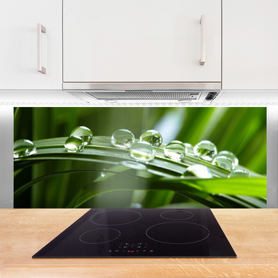 Painel cozinha Planta de gotas de orvalho de grama