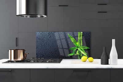 Painel cozinha Caule de bambu planta natureza
