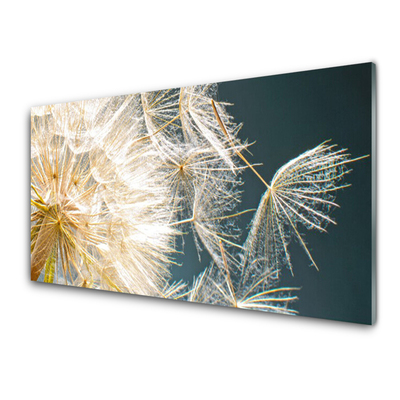 Painel vidro cozinha Planta dente-de-leão