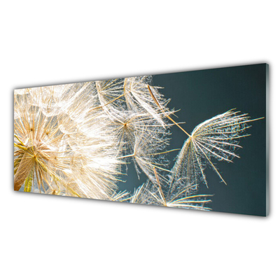 Painel vidro cozinha Planta dente-de-leão