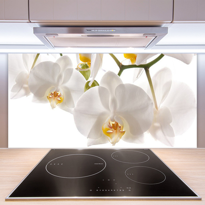 Painel cozinha Flores Planta Natureza