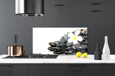 Painel vidro cozinha Flores Pedras Arte