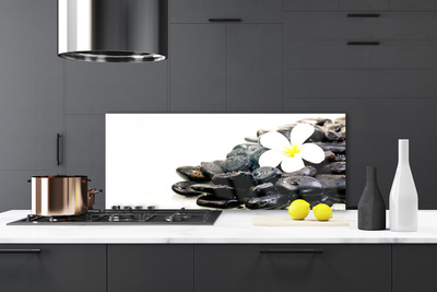 Painel vidro cozinha Flores Pedras Arte