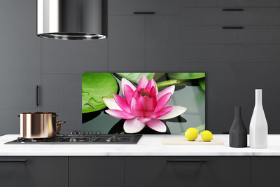 Painel cozinha Flor Planta Natureza