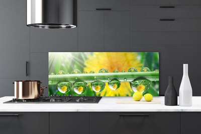 Painel vidro cozinha Caule Gotas Orvalho Planta