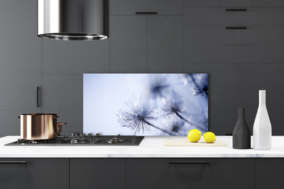 Painel vidro cozinha Planta dente-de-leão