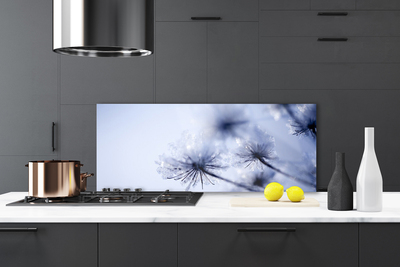 Painel vidro cozinha Planta dente-de-leão