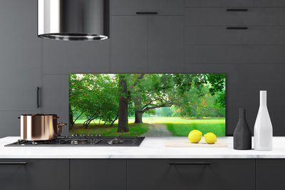 Painel cozinha Caminho da Natureza das Árvores