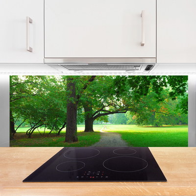 Painel cozinha Caminho da Natureza das Árvores