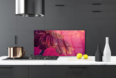 Painel cozinha Árvore Natureza Planta