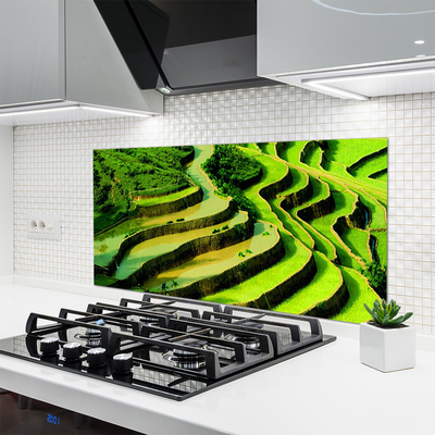 Painel cozinha Natureza da Floresta de Arroz de Campo