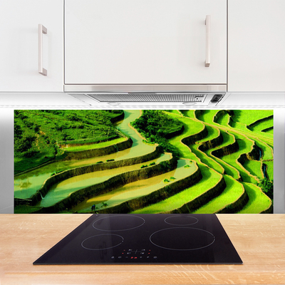 Painel cozinha Natureza da Floresta de Arroz de Campo