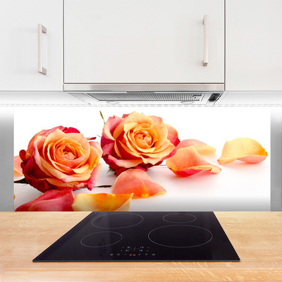 Painel cozinha Planta de flores rosas