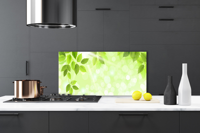 Painel vidro cozinha Folhas Natureza Planta