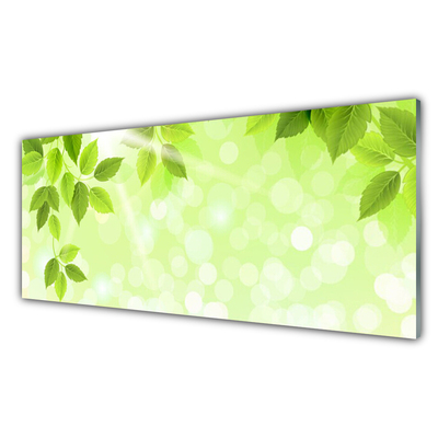 Painel vidro cozinha Folhas Natureza Planta