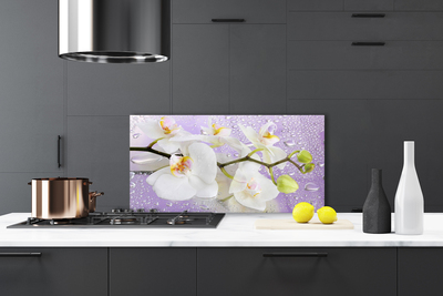 Painel cozinha Flores Planta Natureza