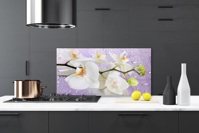 Painel cozinha Flores Planta Natureza