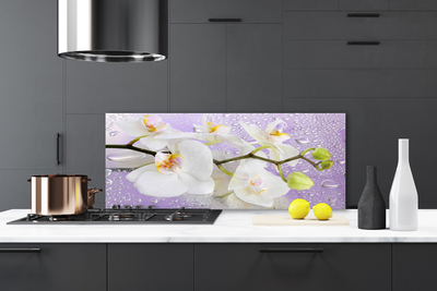 Painel cozinha Flores Planta Natureza