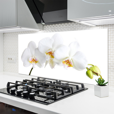 Painel cozinha Flores Planta Natureza