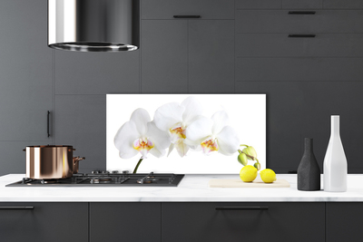 Painel cozinha Flores Planta Natureza