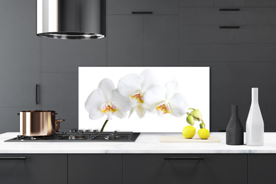 Painel cozinha Flores Planta Natureza