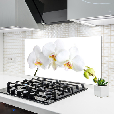 Painel cozinha Flores Planta Natureza