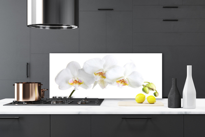 Painel cozinha Flores Planta Natureza