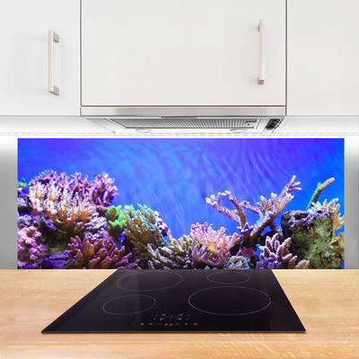 Painel vidro cozinha Natureza dos recifes de corais
