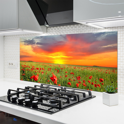 Painel cozinha Papoulas Sol Planta Natureza
