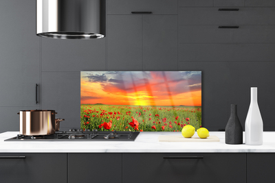 Painel cozinha Papoulas Sol Planta Natureza