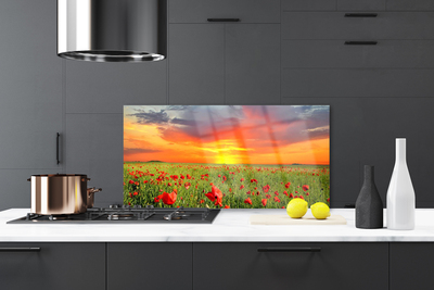 Painel cozinha Papoulas Sol Planta Natureza