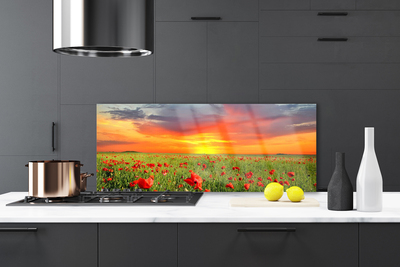 Painel cozinha Papoulas Sol Planta Natureza