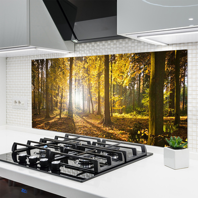 Painel cozinha Folhas da Floresta Planta Natureza