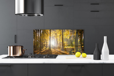 Painel cozinha Folhas da Floresta Planta Natureza