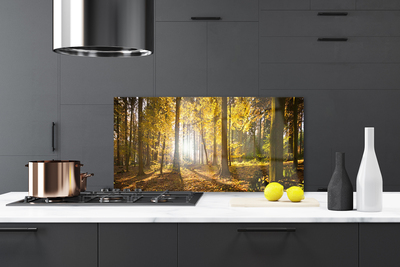 Painel cozinha Folhas da Floresta Planta Natureza