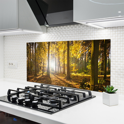 Painel cozinha Folhas da Floresta Planta Natureza