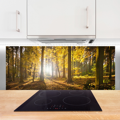 Painel cozinha Folhas da Floresta Planta Natureza