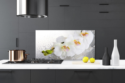Painel vidro cozinha Flores Planta Natureza