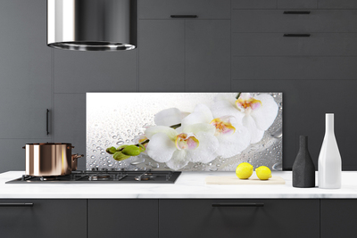 Painel vidro cozinha Flores Planta Natureza