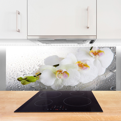 Painel vidro cozinha Flores Planta Natureza