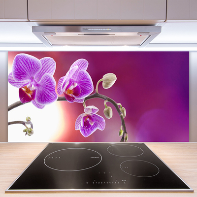 Painel cozinha Flores Planta Natureza