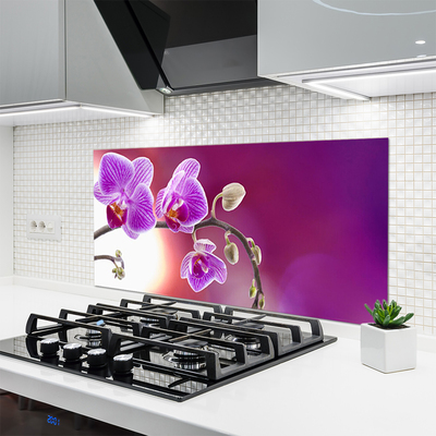 Painel cozinha Flores Planta Natureza