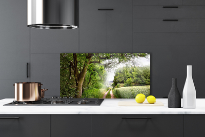 Painel cozinha Caminho da Natureza das Árvores