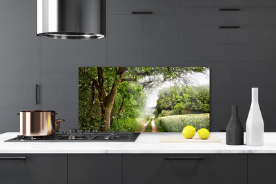 Painel cozinha Caminho da Natureza das Árvores