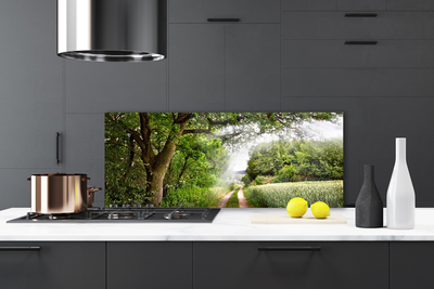 Painel cozinha Caminho da Natureza das Árvores