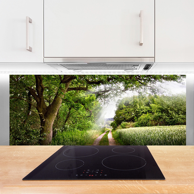 Painel cozinha Caminho da Natureza das Árvores