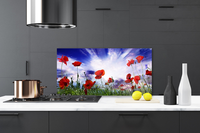 Painel cozinha Papoulas Plantam Natureza