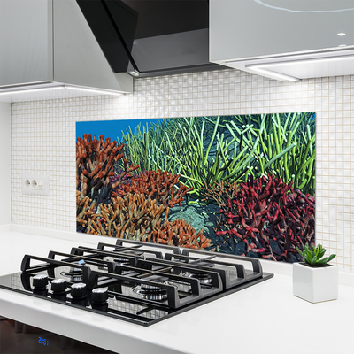 Painel vidro cozinha Natureza dos recifes de corais