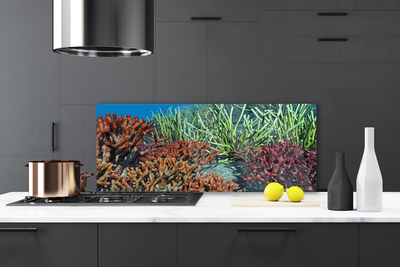Painel vidro cozinha Natureza dos recifes de corais