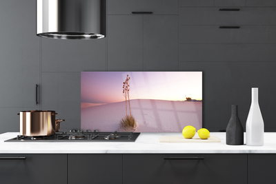 Painel vidro cozinha Paisagem de areia do deserto